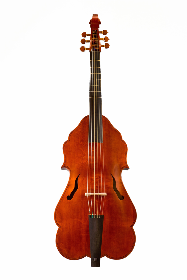 bertrand 7string bass viol