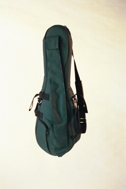 viola soft case